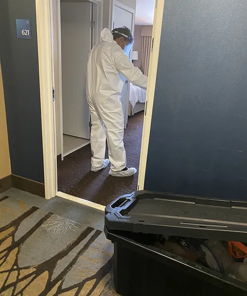 COVID-19 Disinfecting Services in ABA 